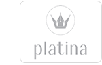 Platinum Writing Pen